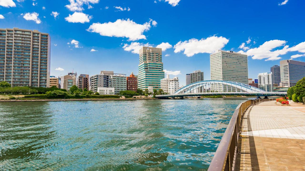 Tokyo riverside pik 2